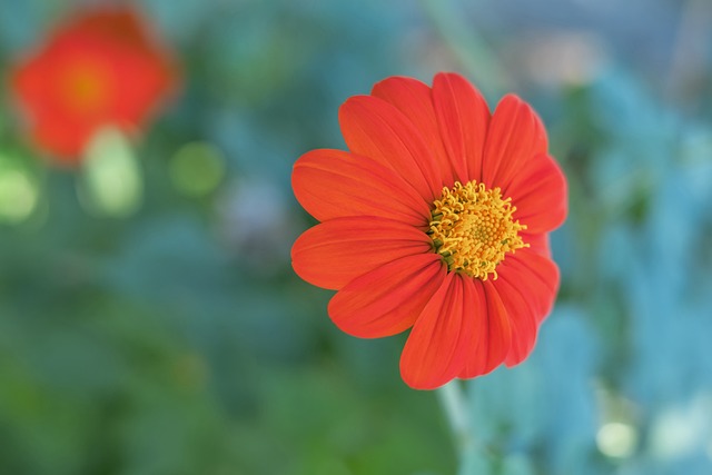 速摆脱困境 速摆脱困境