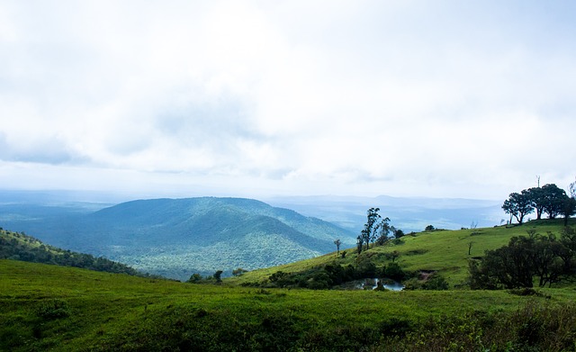 心态和尤文 心态和尤文
