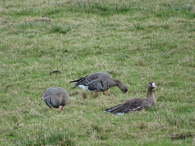 影响力等方 影响力等方