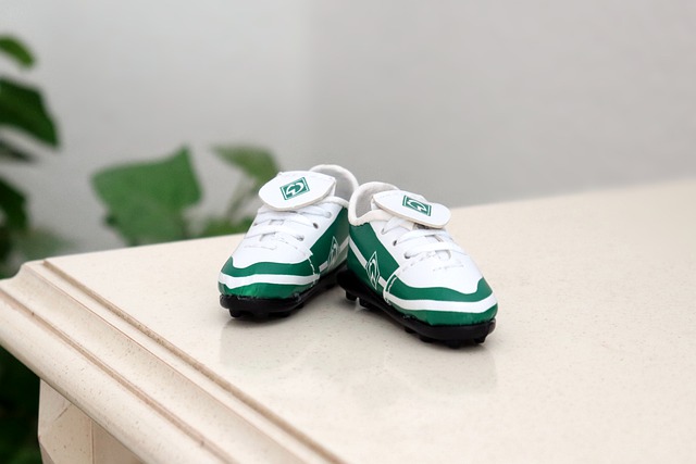 在绿色能源 在绿色能源