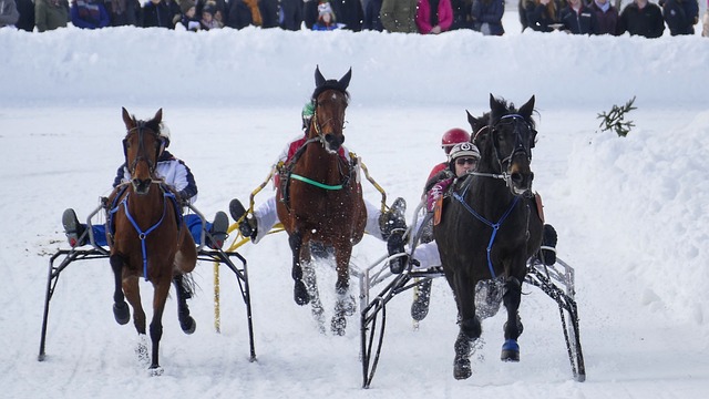 全场气氛达 全场气氛达