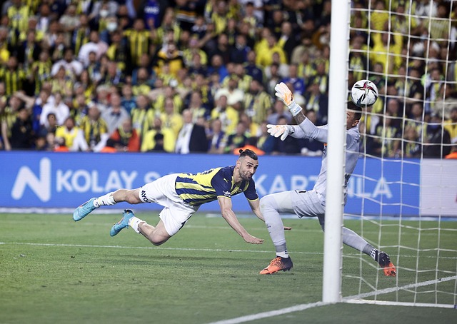 在追逐自己 在追逐自己