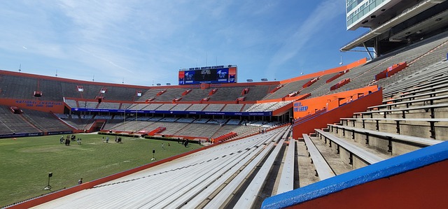 可能带动米 可能带动米