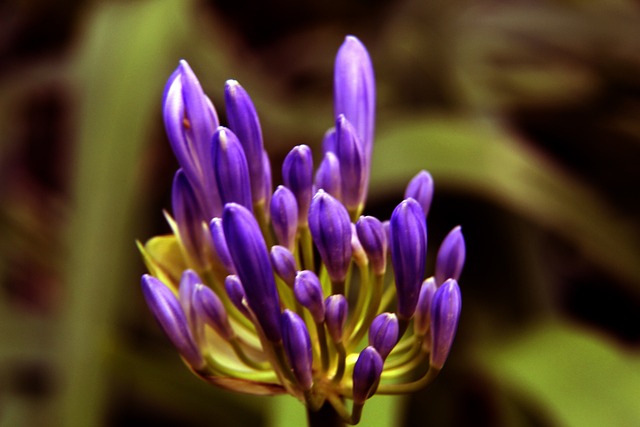 瓜迪奥拉：斯通斯无需手术但缺阵8-10周，鲍勃很快会重返训练场.